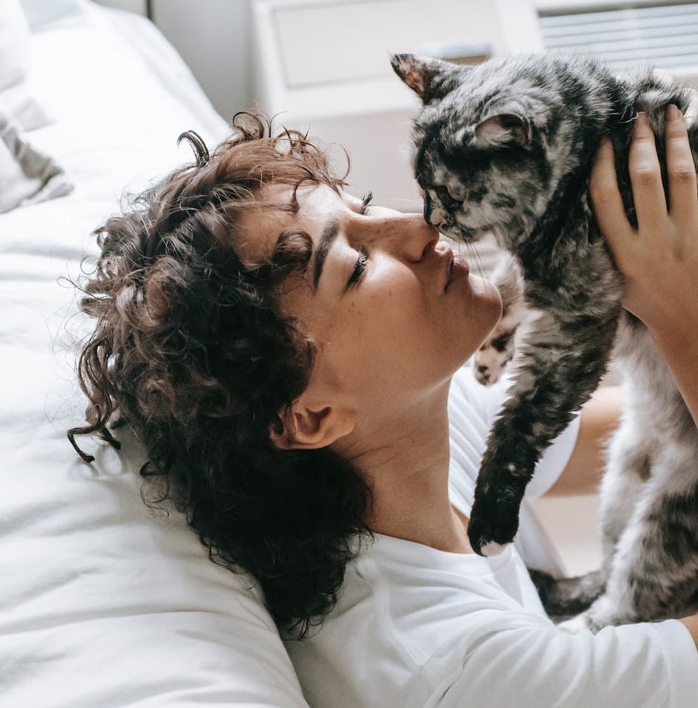 woman-bedside-booping-cat