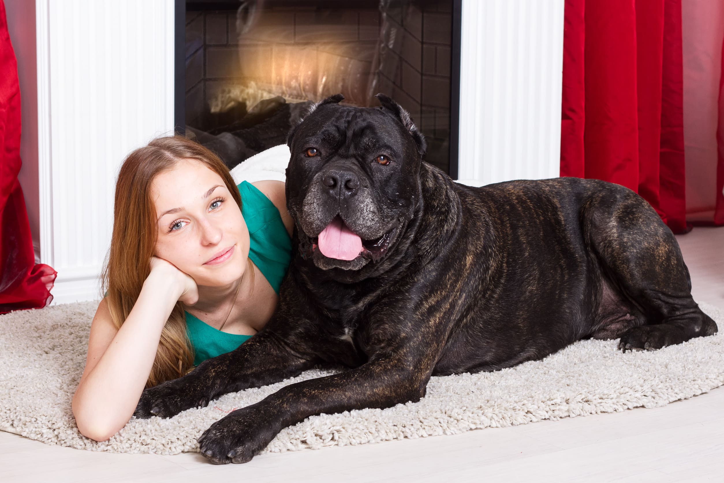 woman lying next to her cane corso service dog in her home.