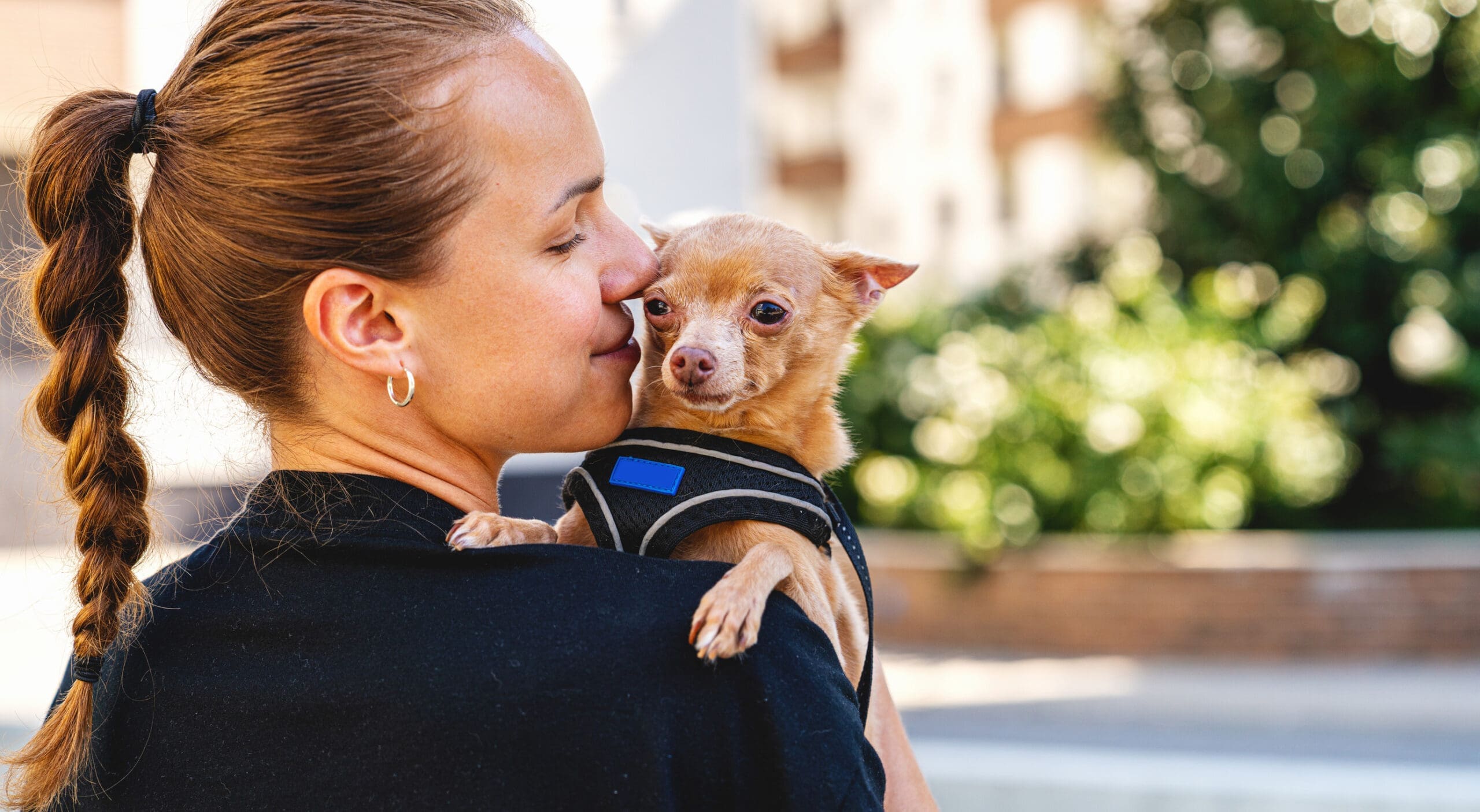 A woman carrying her Chihuahua service dog while walking in a park.