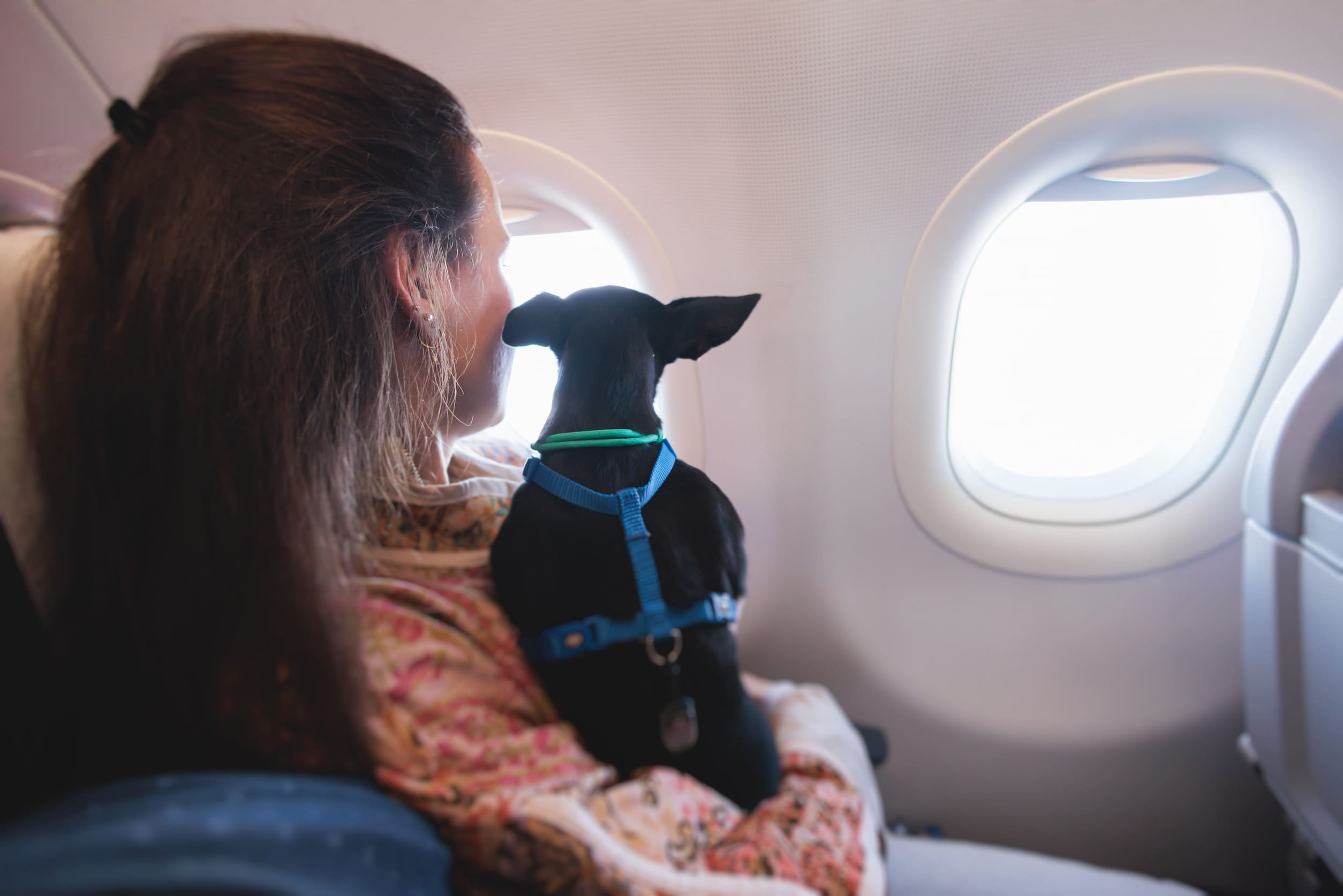 Image of a woman holding a service dog while sitting by the window seat inside an aircraft cabin.