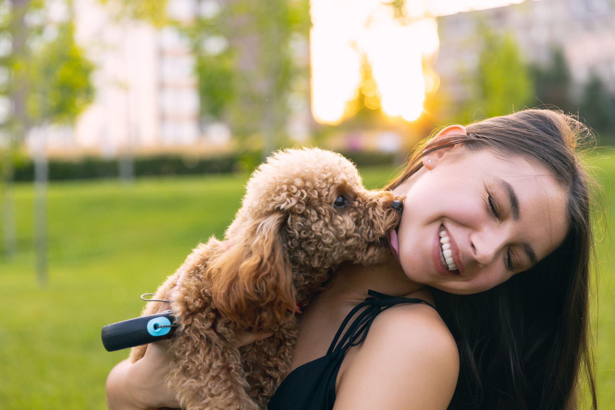 A college student hugging her toy poodle outside, one of the best dog breeds for college students.